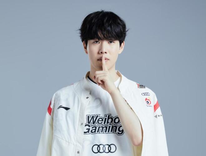 修复的损害 修复的损害